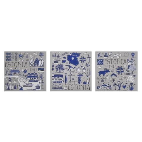 Plekist magnet eesti sümbolitega- 3 erinevat